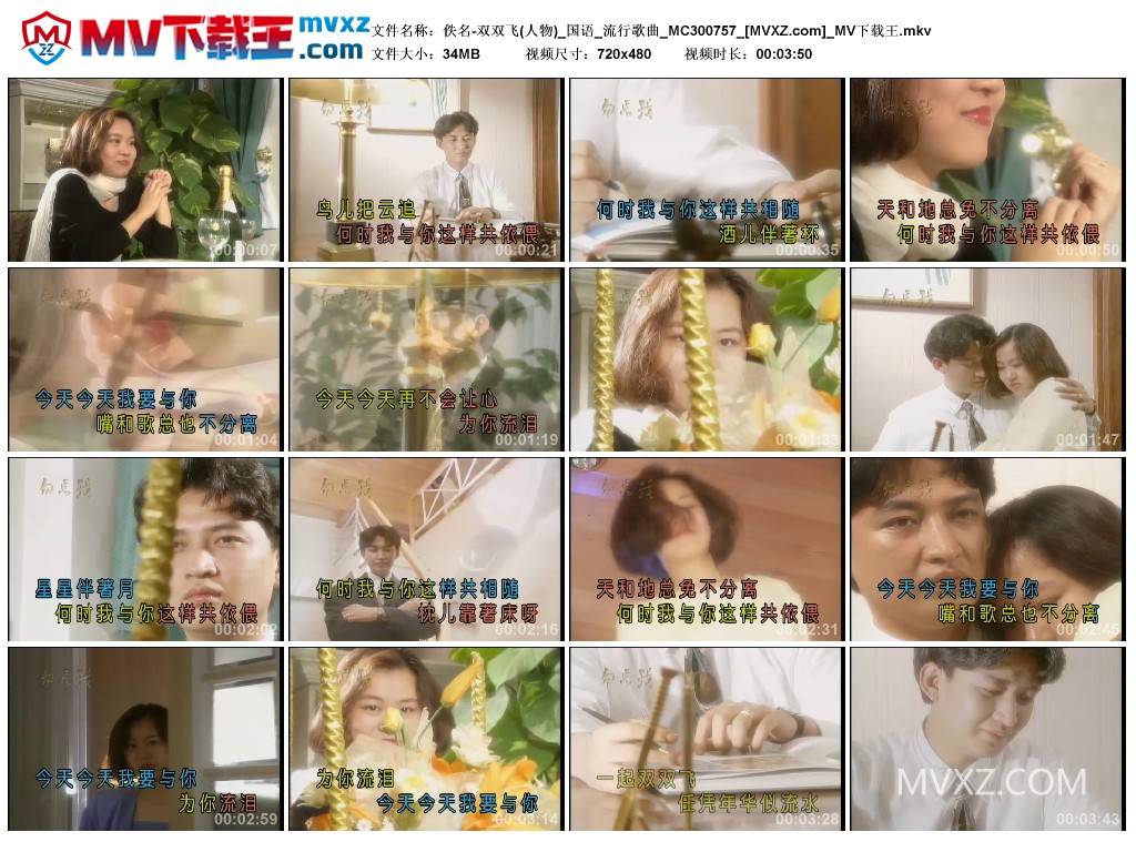 佚名-双双飞(人物)_国语_流行歌曲_MC300757